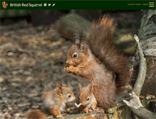 Tablet Screenshot of britishredsquirrel.org